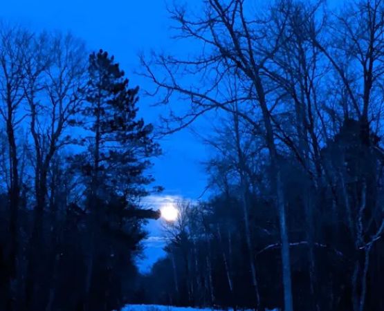 Couderay River Campground