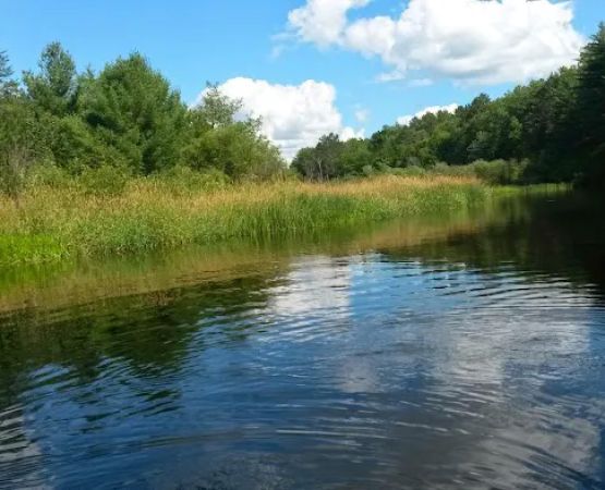 Sand Lake Pines Resort & Campground