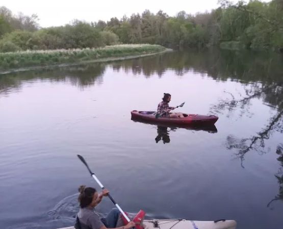 Huntersville Forest Campground
