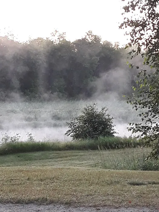 Huntersville Forest Campground 3