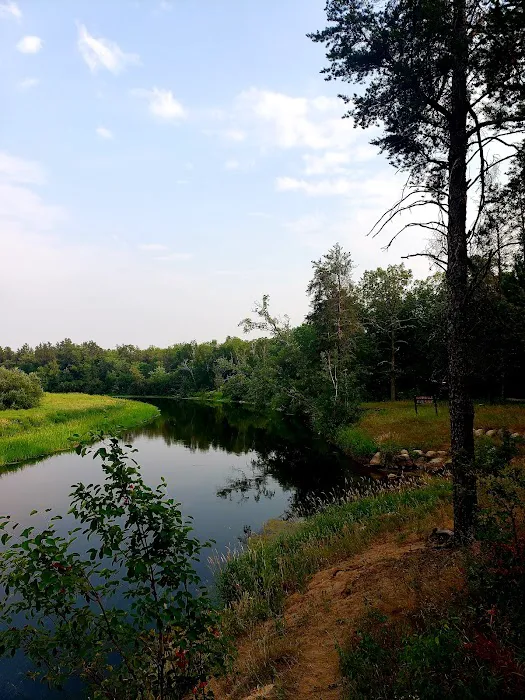 Huntersville Forest Campground 9