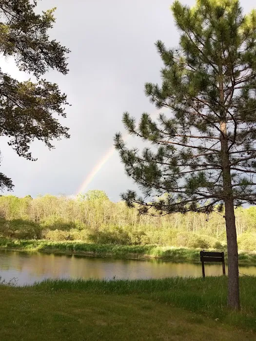 Huntersville Forest Campground 1