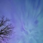 Tree Farm Campground