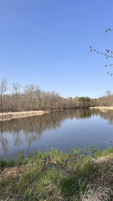 Tree Farm Campground 5
