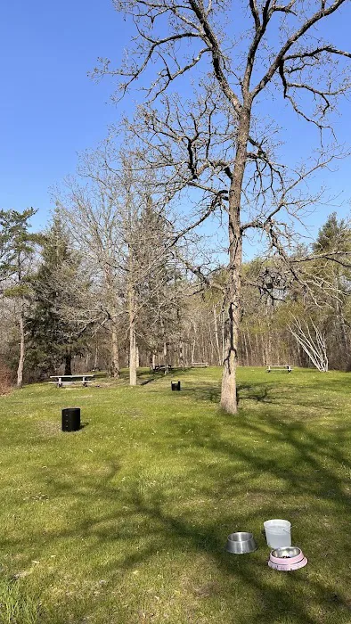 Tree Farm Campground 7