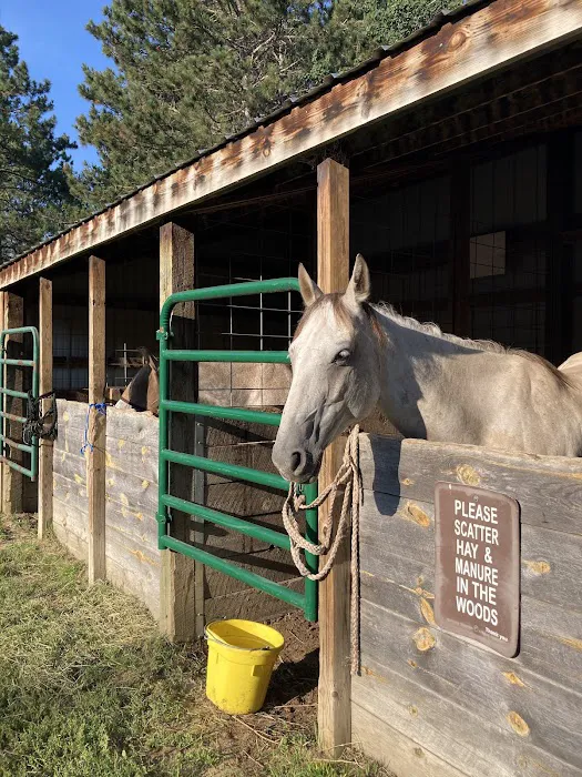 Shell City Horse Camp 4