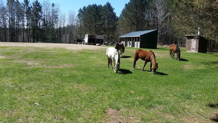 Shell City Horse Camp 3