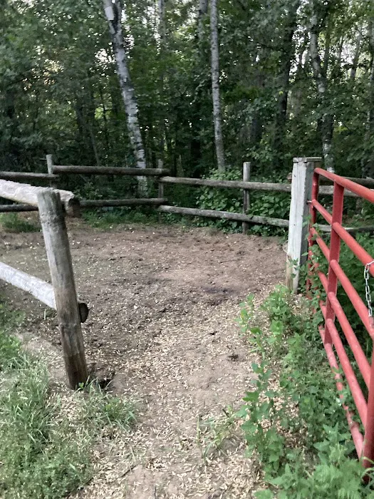 Shell City Horse Camp 5