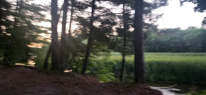 Shell city campground 6