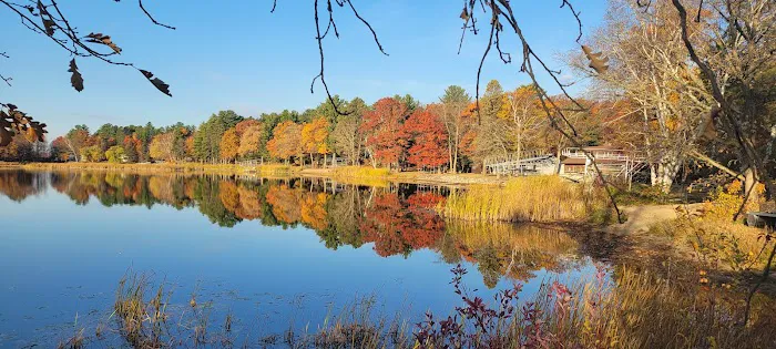 Longville Campground 6