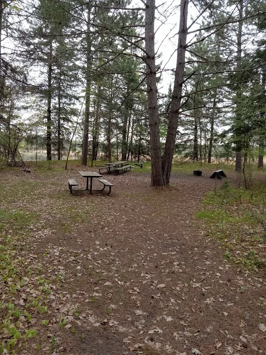 Group Camp 3