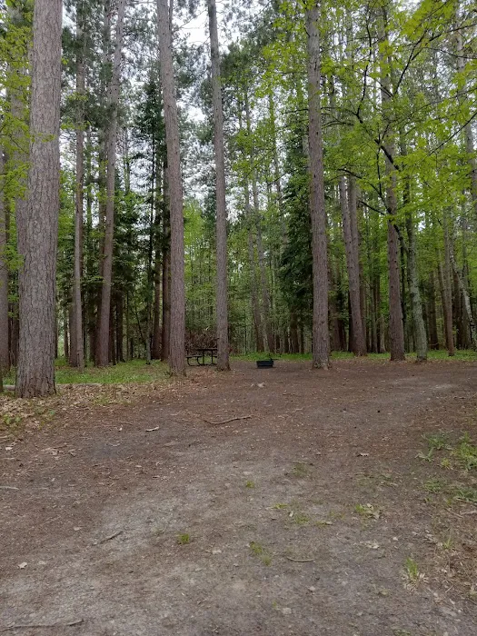 Schoolcraft Campground 2