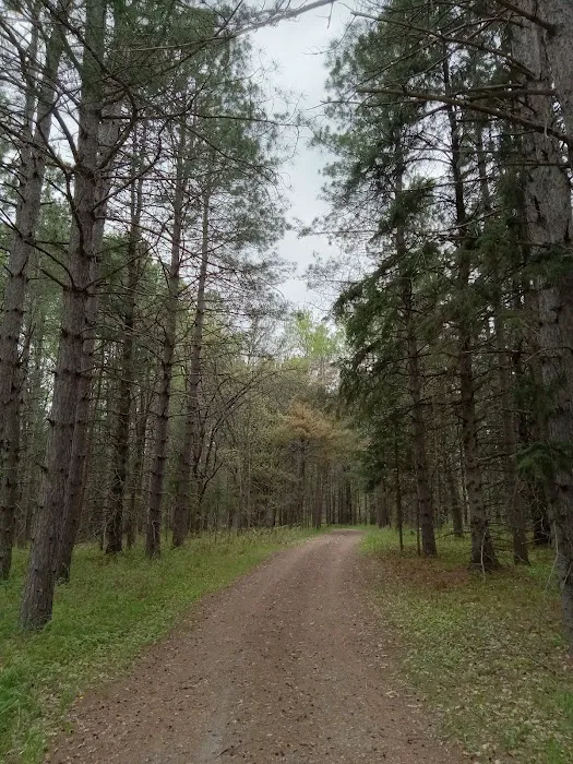 Schoolcraft Campground 1