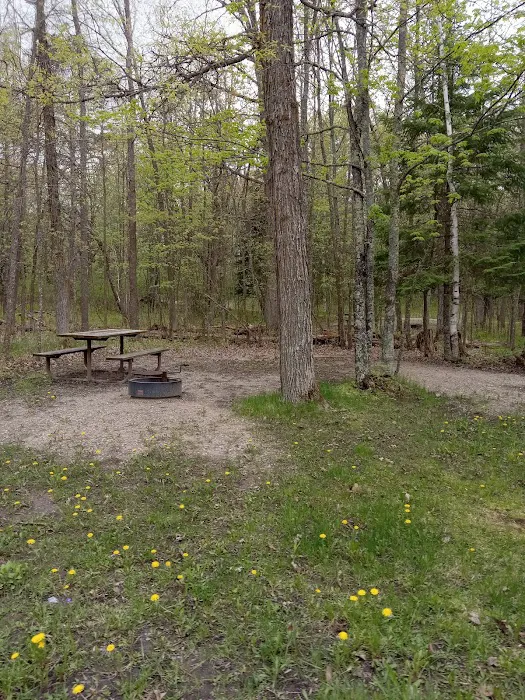 Schoolcraft Campground 5