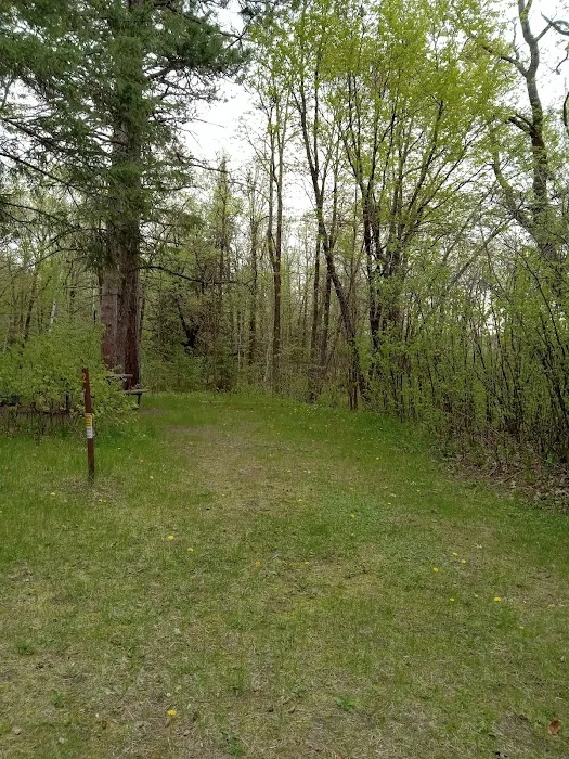 Schoolcraft Campground 4