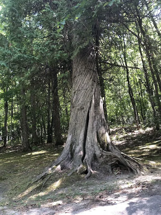 Leech Lake Recreation Area 1
