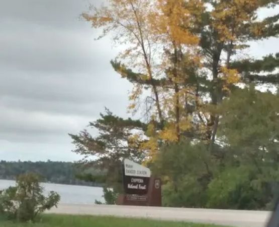 US Forestry Department