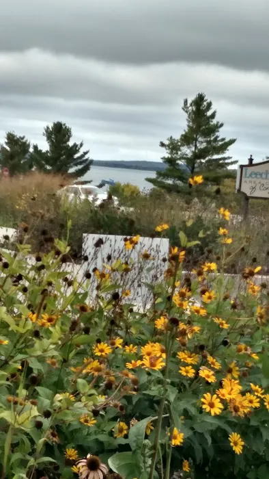 US Forestry Department 1
