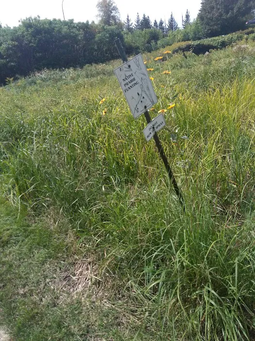 Forestry Department 2
