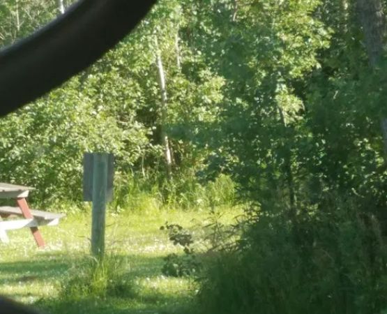 Rush Lake Tent & Trailer