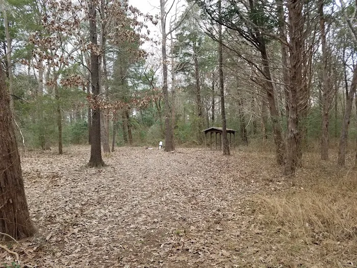 BSA Camp Meisenbach 6