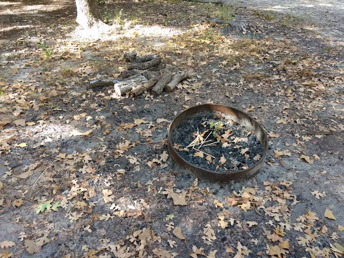 Black Bear Camp Site 5