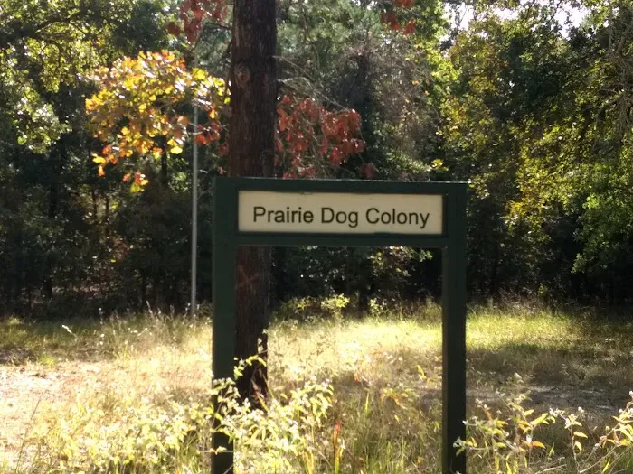Prairie Dog Colony Camp Site 0