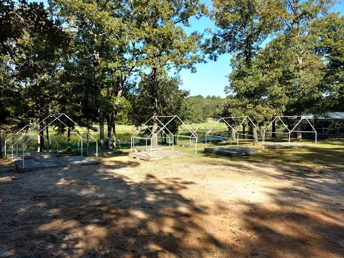 Gum Ridge Camp Site 1