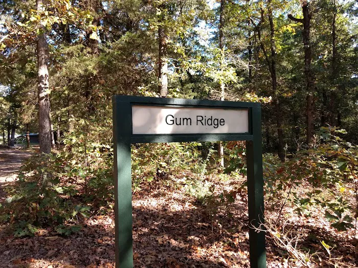 Gum Ridge Camp Site 4
