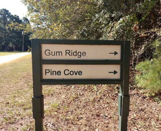 Gum Ridge Camp Site