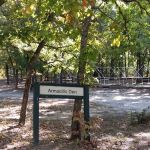 Armadillo Den Camp Site