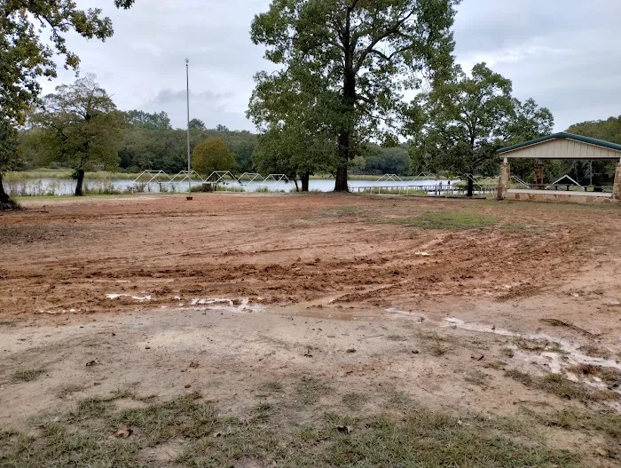 Cypress Knee Camp Site 0