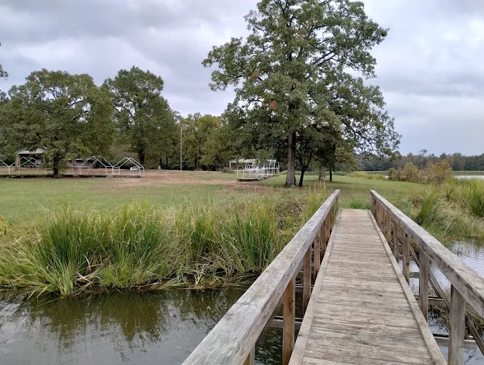 Cypress Knee Camp Site 8