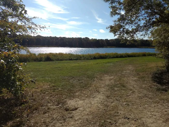 Red Oak Camp Site 9