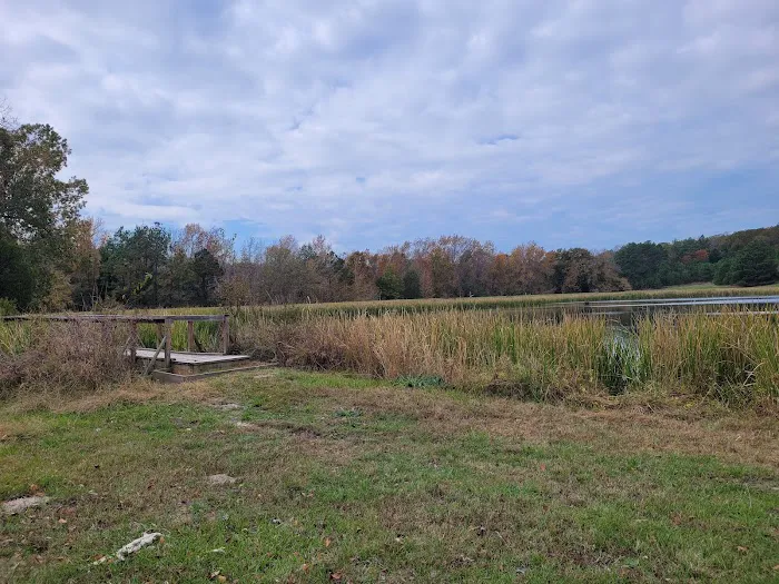 Post Oak Point Camp Site 1