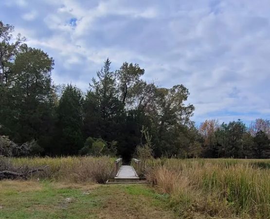 Post Oak Point Camp Site