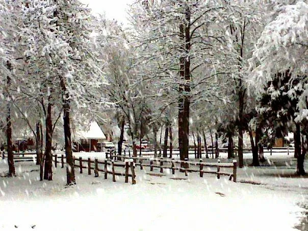 Stone Fort Camp & Conference 0