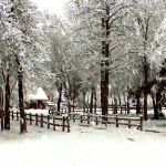 Stone Fort Camp & Conference