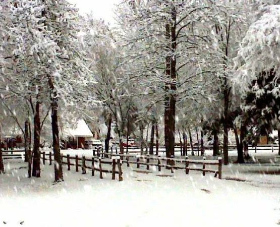 Stone Fort Camp & Conference