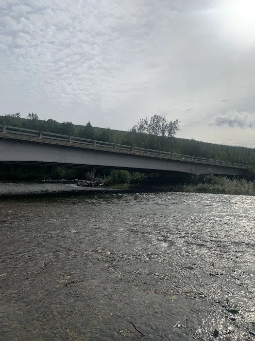 Upper Chatanika River Campground 7