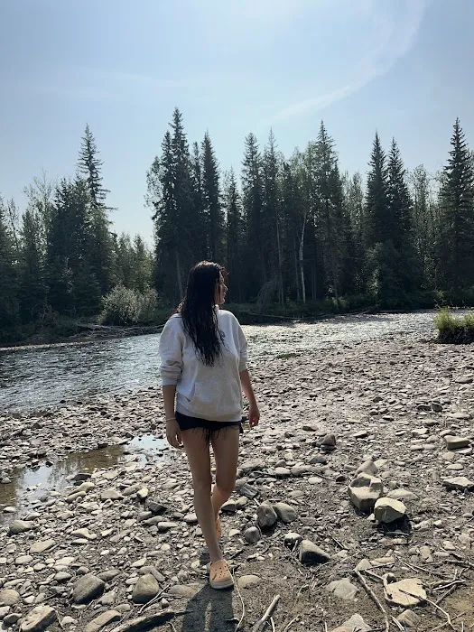 Upper Chatanika River Campground 6