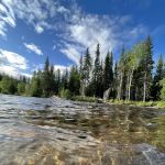 Upper Chatanika River Campground