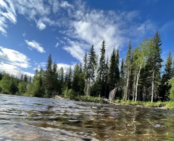 Upper Chatanika River Campground