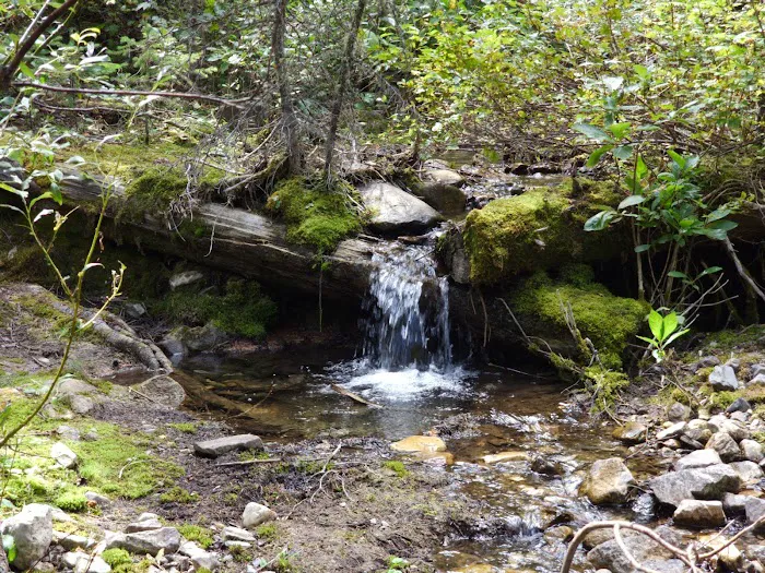 Mill Falls Campground 4