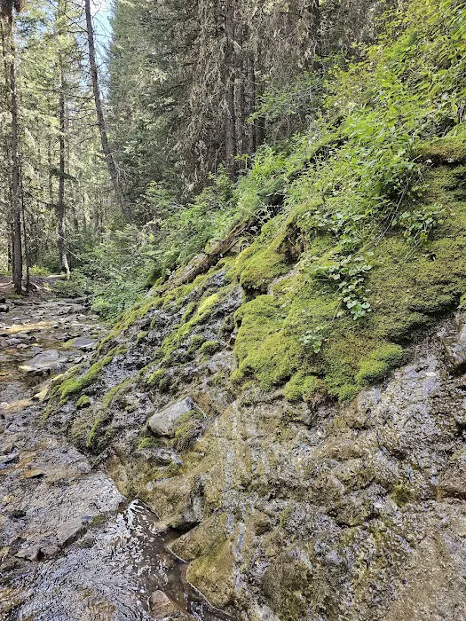 Mill Falls Campground 6