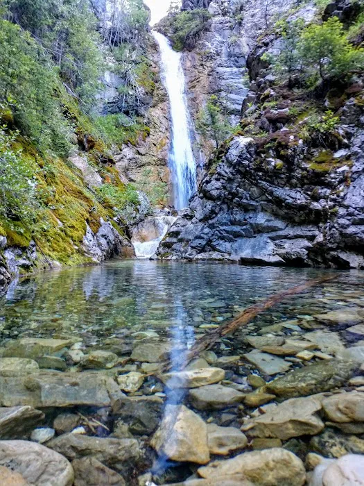 Mill Falls Campground 8