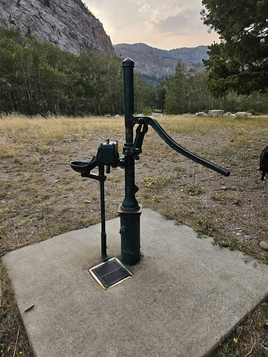 Home Gulch Campground 7