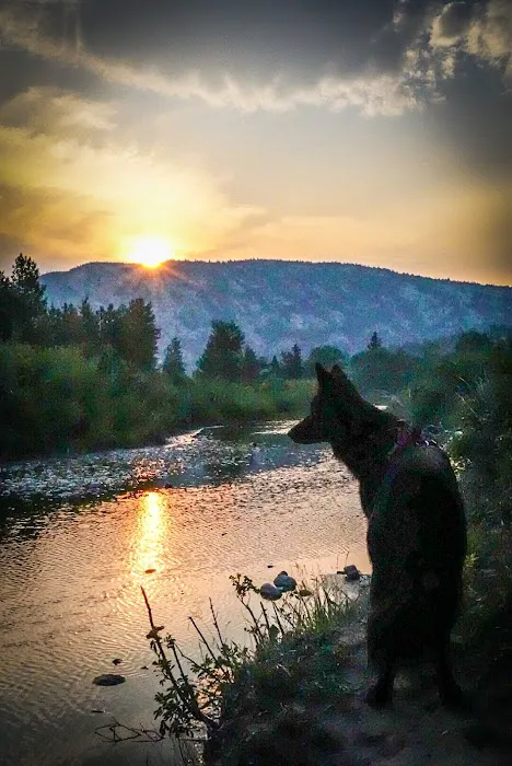Home Gulch Campground 4