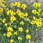 Camp Pontiac Campground LLC