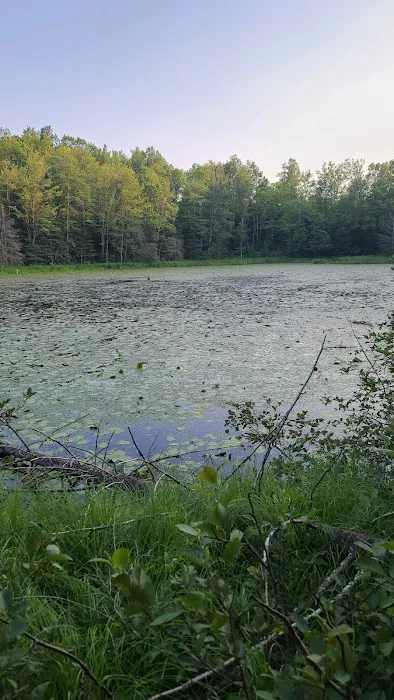 OTTER LAKE CAMPGROUND 0